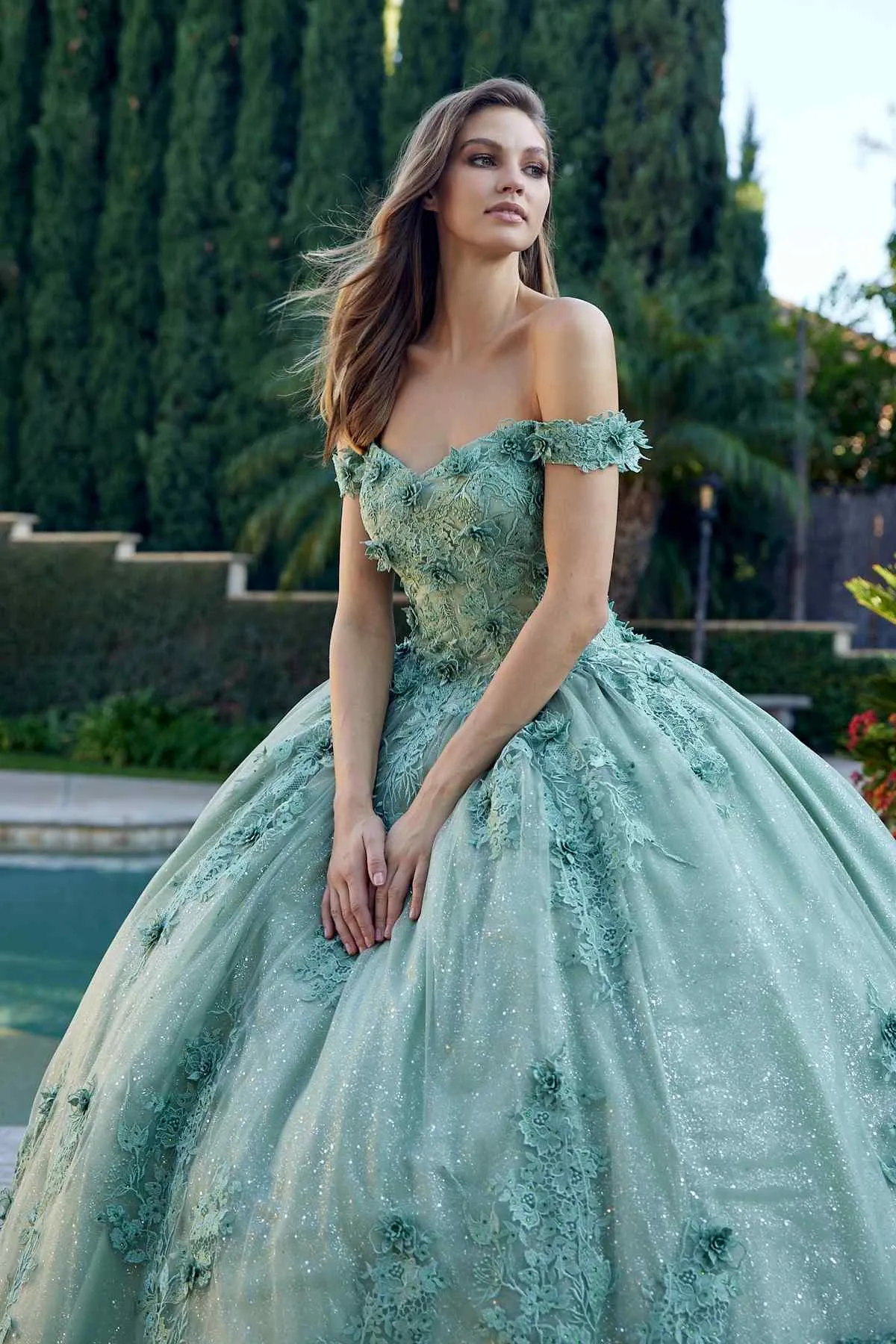Juliet 1445 Long 3D Floral Appliques Off Shoulder Poofy Ball Gown