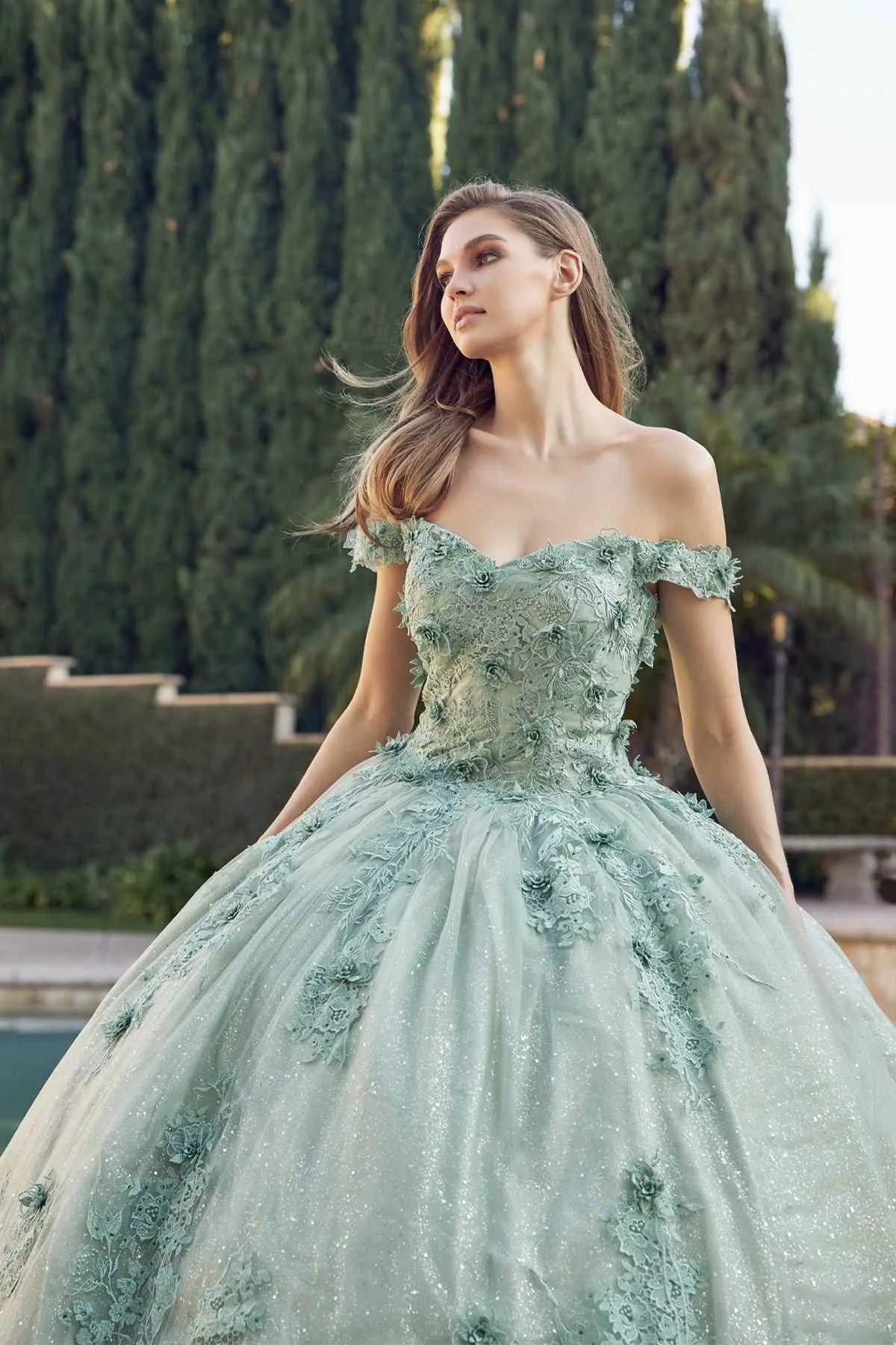 Juliet 1445 Long 3D Floral Appliques Off Shoulder Poofy Ball Gown