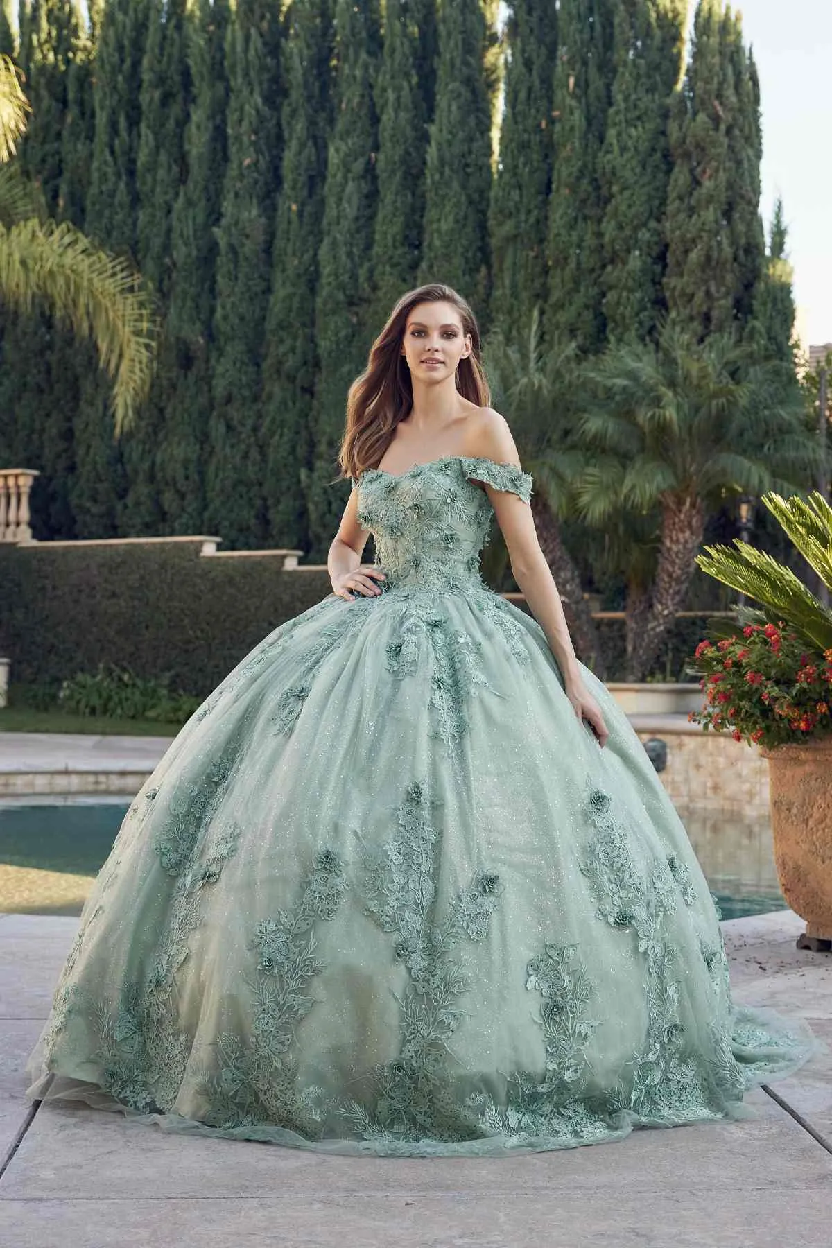 Juliet 1445 Long 3D Floral Appliques Off Shoulder Poofy Ball Gown