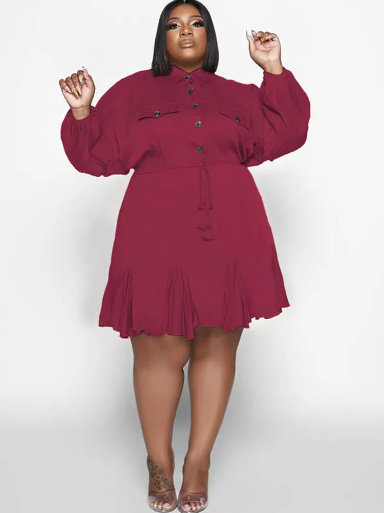 Long Sleeve Solid Color Ruffle Mini Dresses