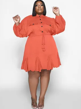 Long Sleeve Solid Color Ruffle Mini Dresses